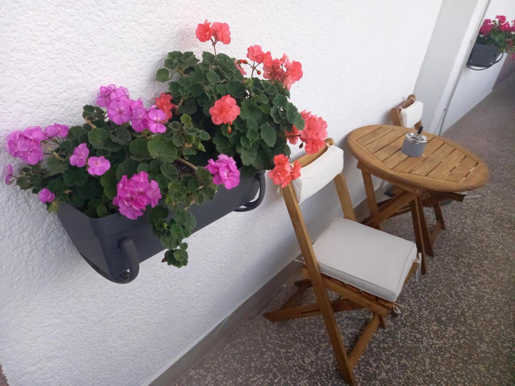 Apartment Danijela Šibenik Exteriör bild